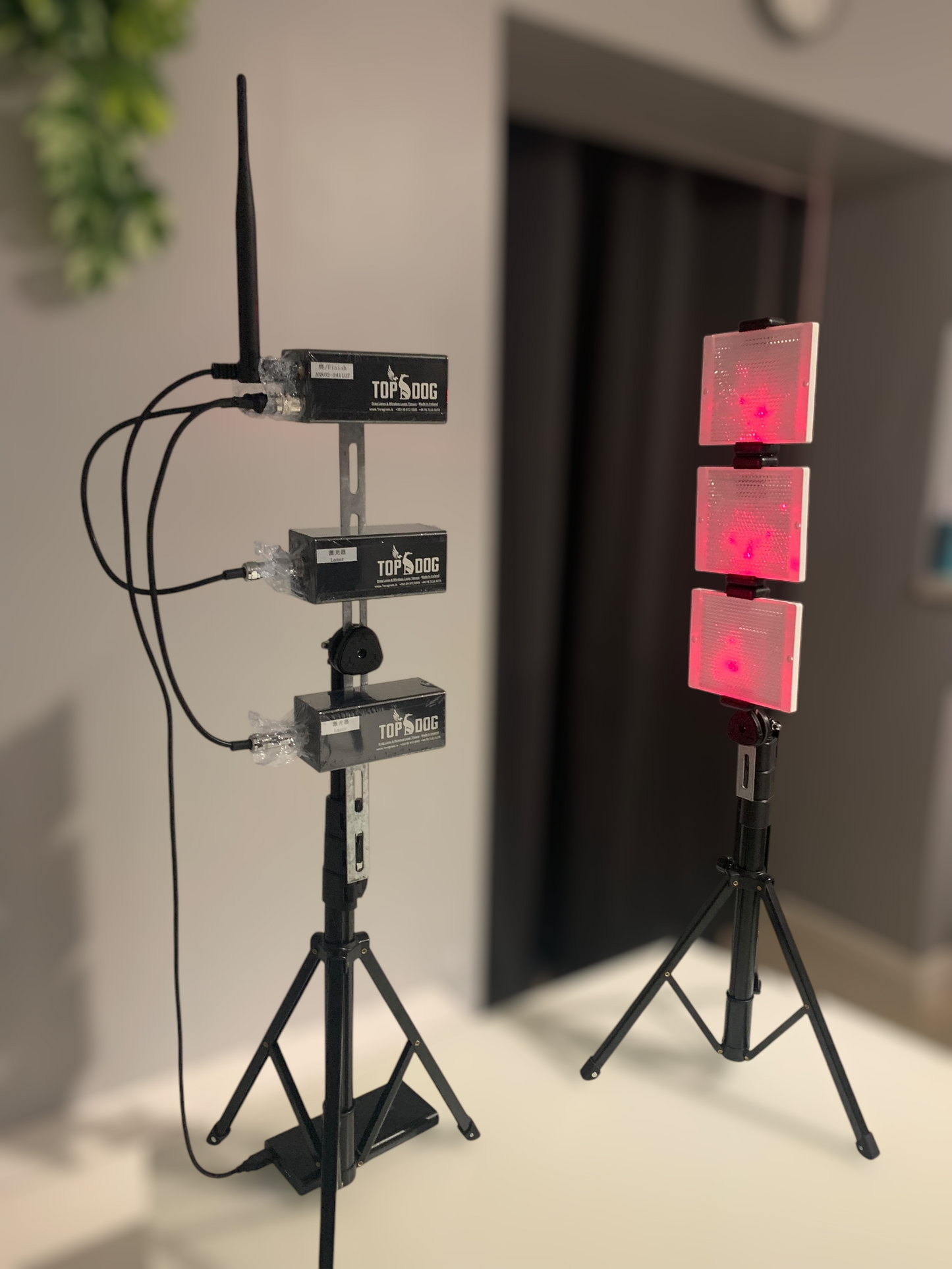 Wireless Timer- 3+1 Lasers & 1 display- All Dog Breeds