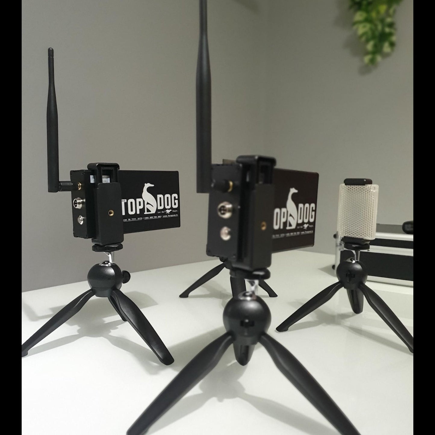 Wireless Timer- 2 Lasers with integrated display- Greyhound Coursing