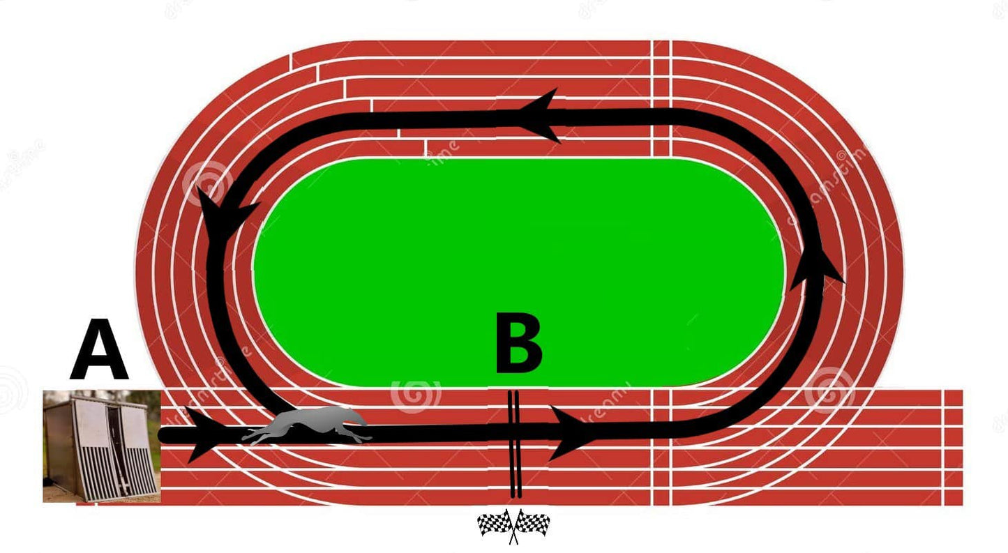 Wireless Timer- 2 Lasers with integrated display- Greyhound Coursing