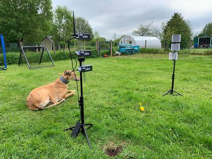 Wireless Timer- 3+1 Lasers & 1 display- All Dog Breeds