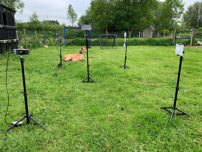 Wireless Timer- 3+1 Lasers & 1 display- All Dog Breeds